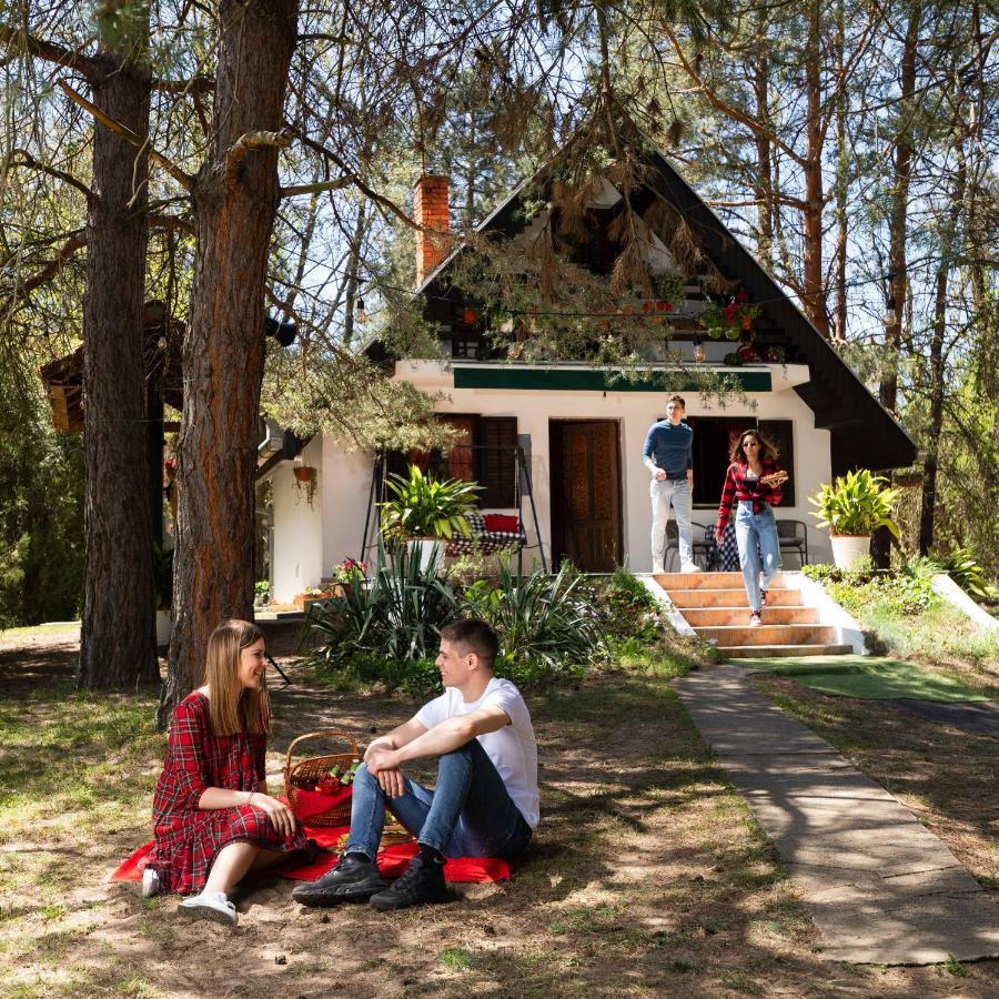 Ladybird Lodge Bela Crkva  Extérieur photo