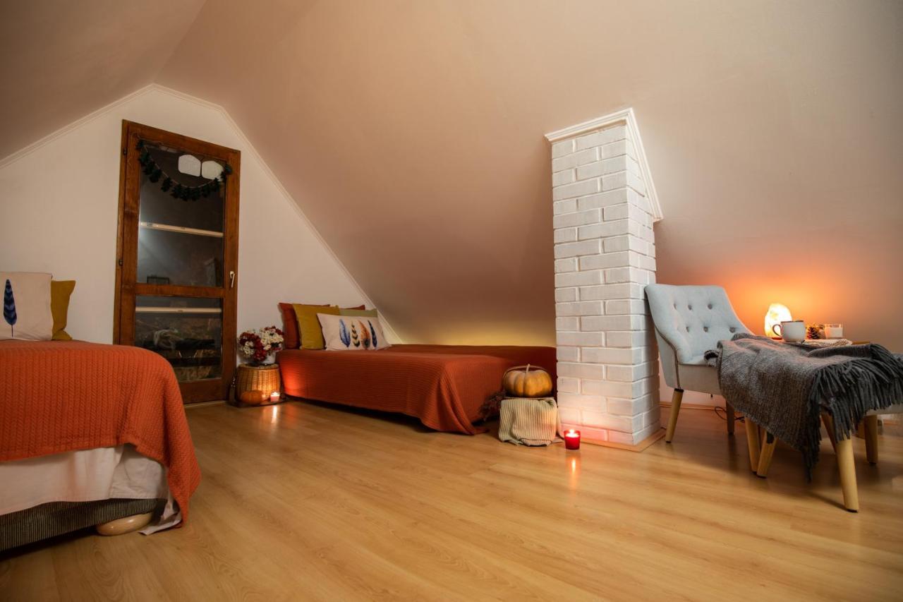 Ladybird Lodge Bela Crkva  Extérieur photo